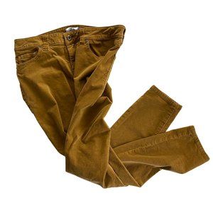 CAbi skinny cords in Acorn